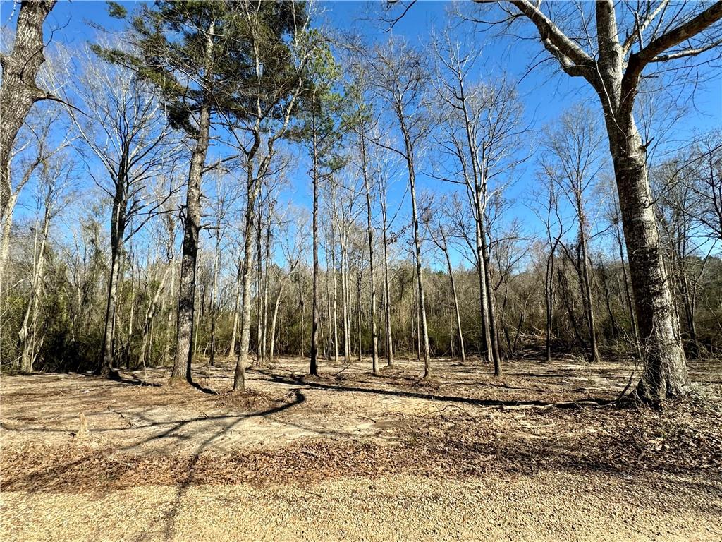 4-acres Rob Thomas Road Franklinton, LA 70438 - Photo 1 of 5 Gallery Image 1