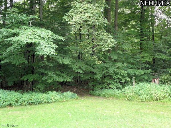 7204 Hartman Road Wadsworth, OH 44281 - Photo 18 of 20 Large woods with flowing creek.