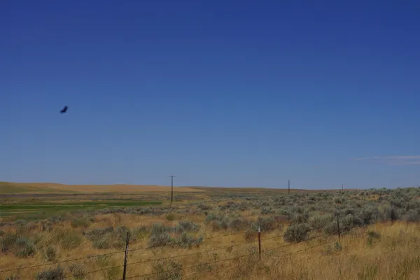 $49,000 | Nka Coal Springs Road, Unit 18XXX COAL SPRINGS RD, Harrington, WA 99134