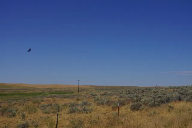 $49,000 | Nka Coal Springs Road, Unit 18XXX COAL SPRINGS RD, Harrington, WA 99134