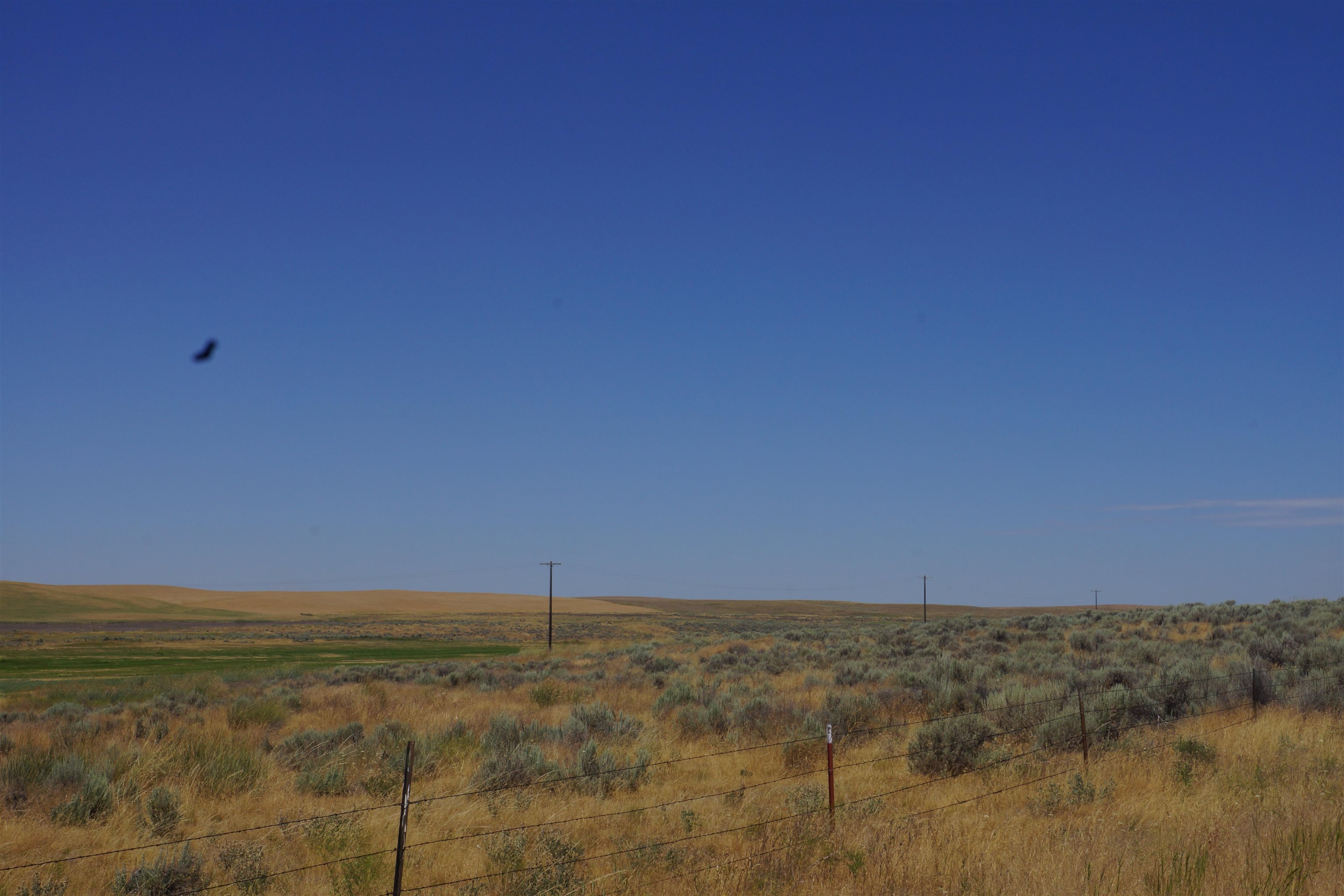 Nka Coal Springs Road, Unit 18XXX COAL SPRINGS RD Harrington, WA 99134 - Photo 1 of 23