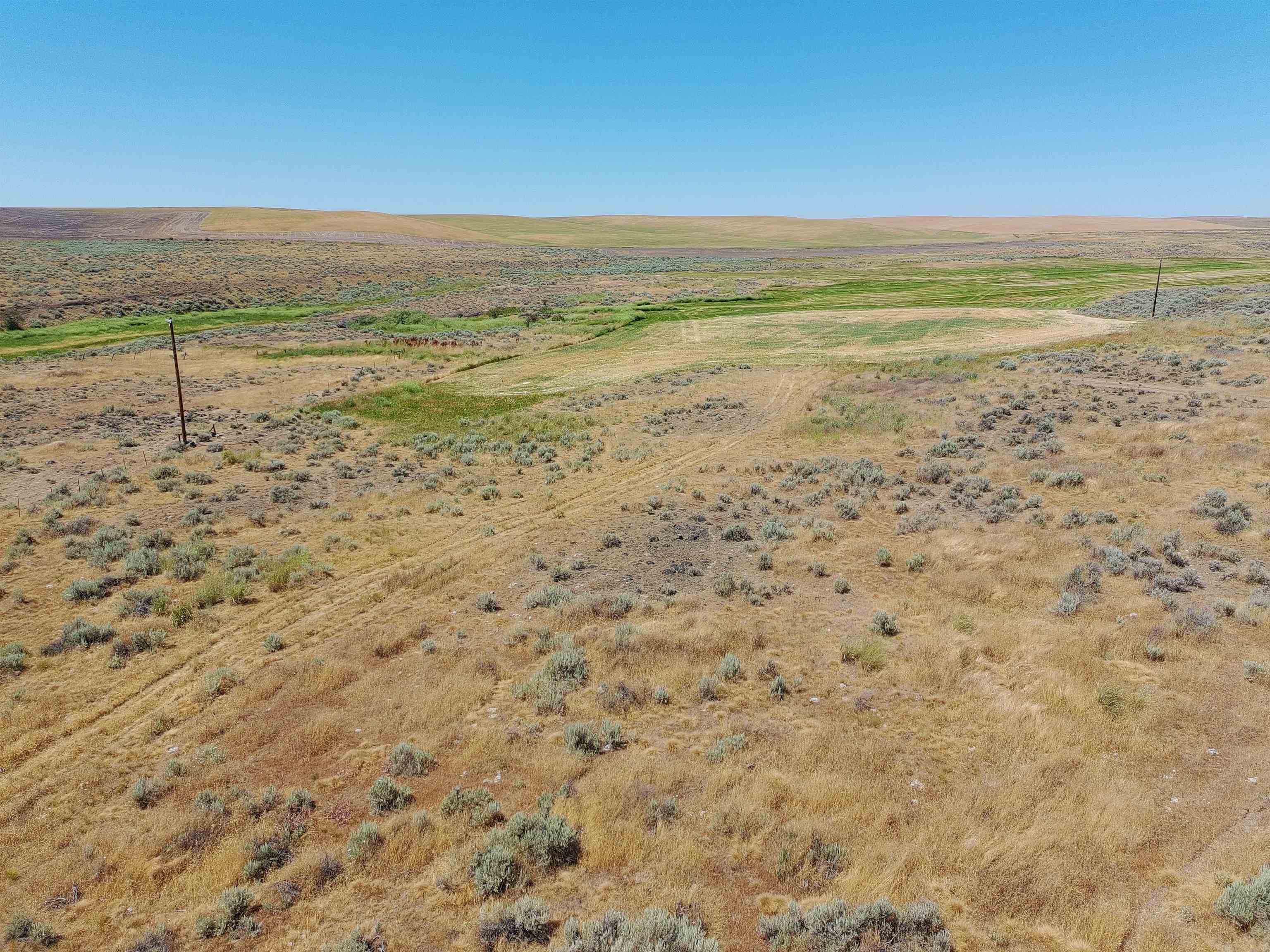 Nka Coal Springs Road, Unit 18XXX COAL SPRINGS RD Harrington, WA 99134 - Photo 15 of 23