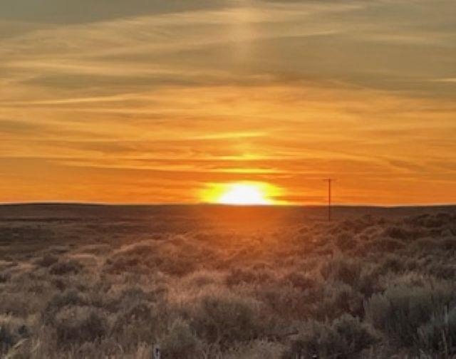 Nka Coal Springs Road, Unit 18XXX COAL SPRINGS RD Harrington, WA 99134 - Photo 2 of 23