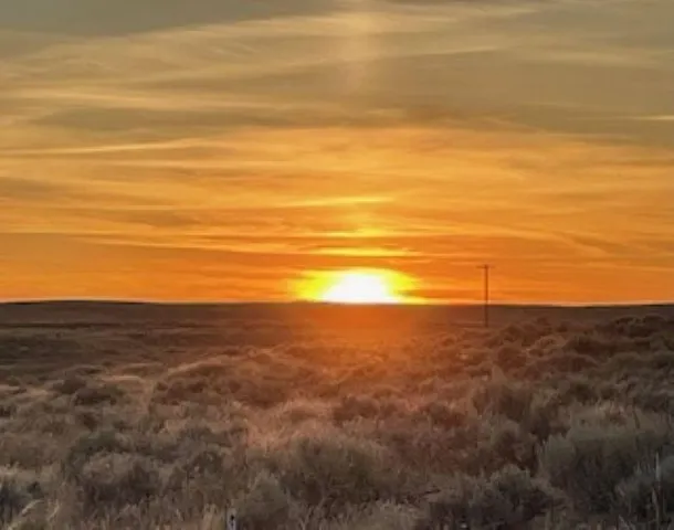 $49,000 | Nka Coal Springs Road, Unit 18XXX COAL SPRINGS RD, Harrington, WA 99134