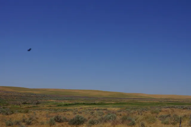 $49,000 | Nka Coal Springs Road, Unit 18XXX COAL SPRINGS RD, Harrington, WA 99134