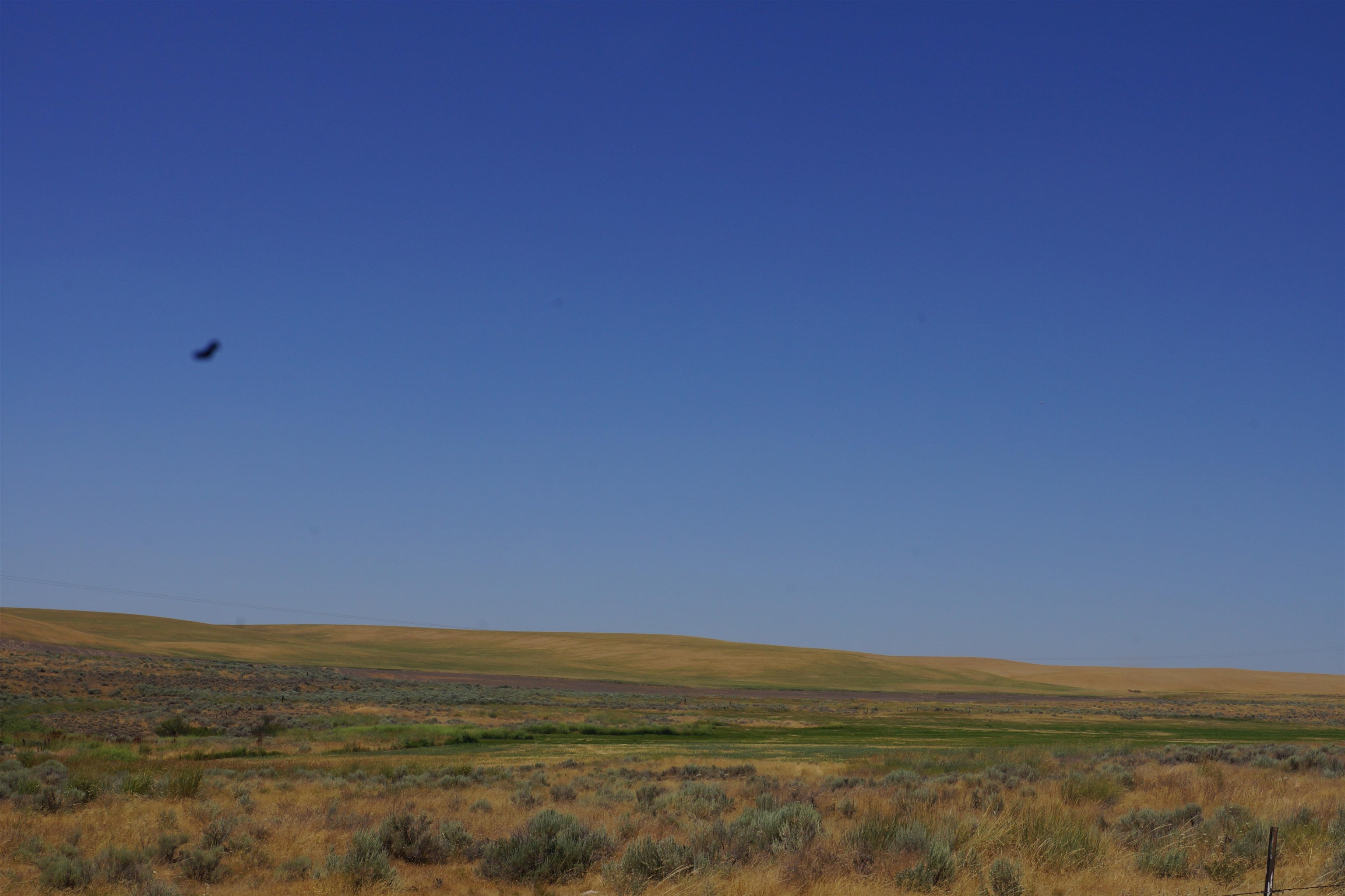 Nka Coal Springs Road, Unit 18XXX COAL SPRINGS RD Harrington, WA 99134 - Photo 3 of 23