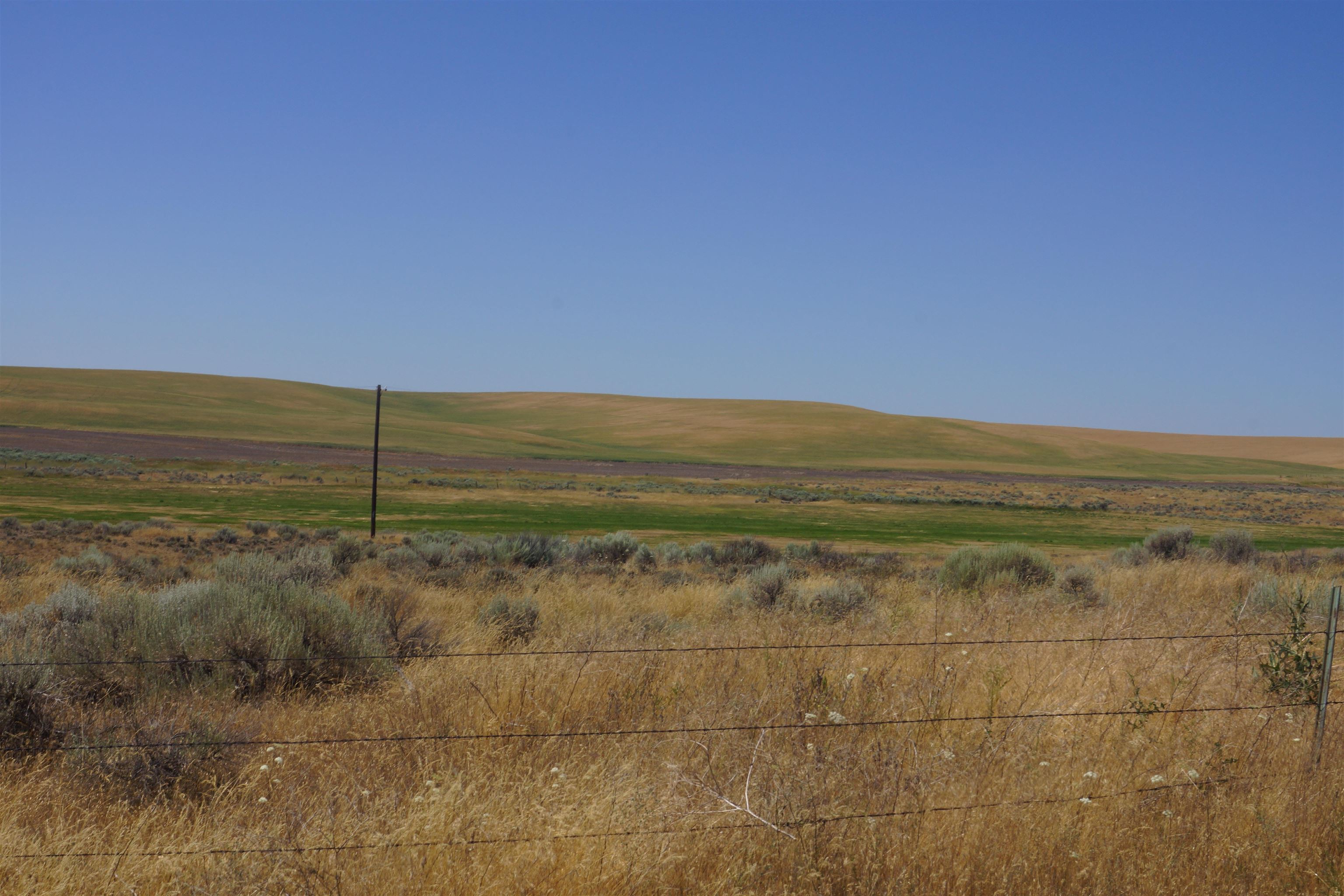 Nka Coal Springs Road, Unit 18XXX COAL SPRINGS RD Harrington, WA 99134 - Photo 6 of 23