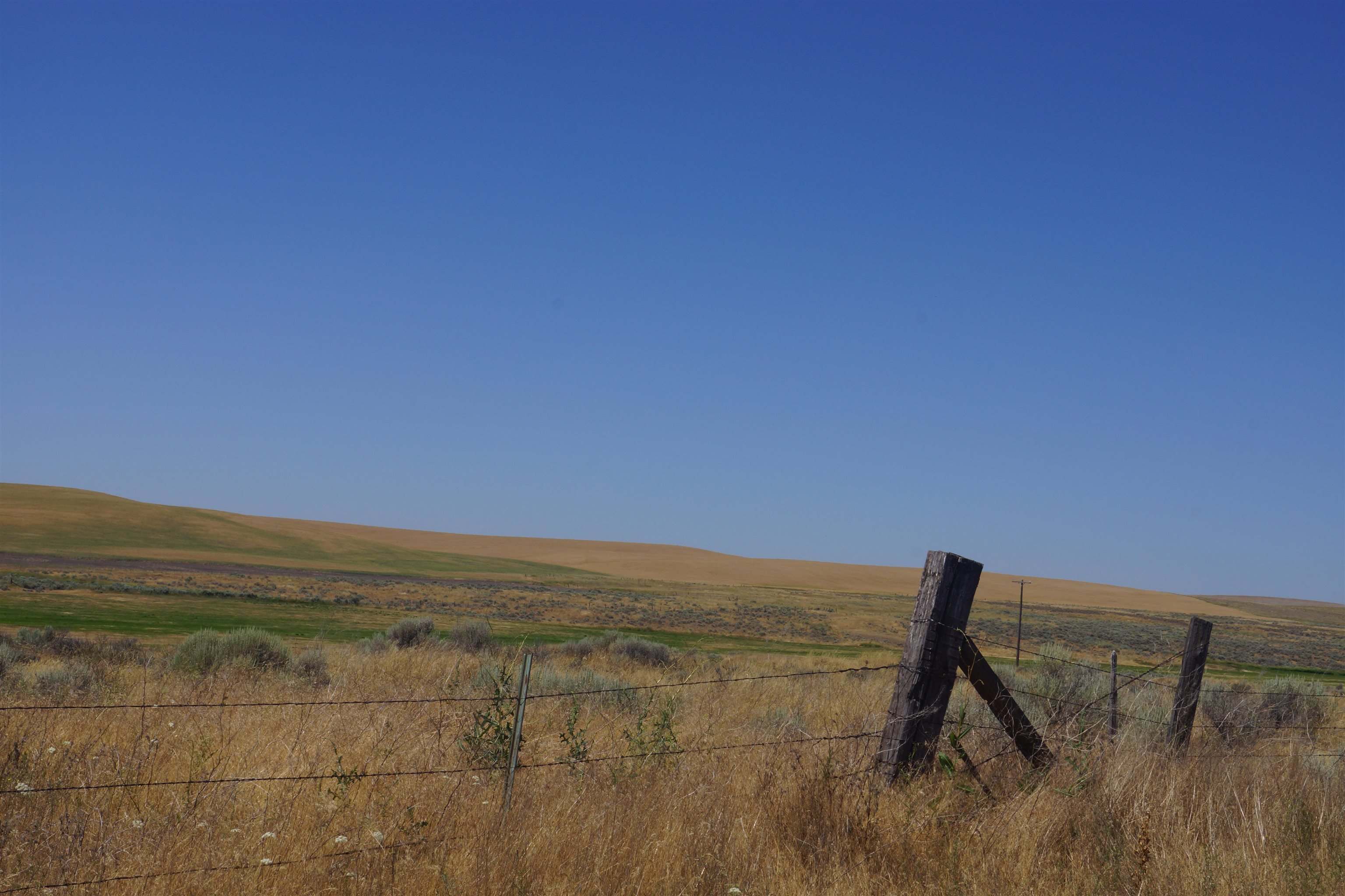 Nka Coal Springs Road, Unit 18XXX COAL SPRINGS RD Harrington, WA 99134 - Photo 7 of 23