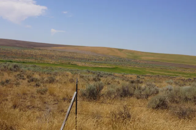 $49,000 | Nka Coal Springs Road, Unit 18XXX COAL SPRINGS RD, Harrington, WA 99134