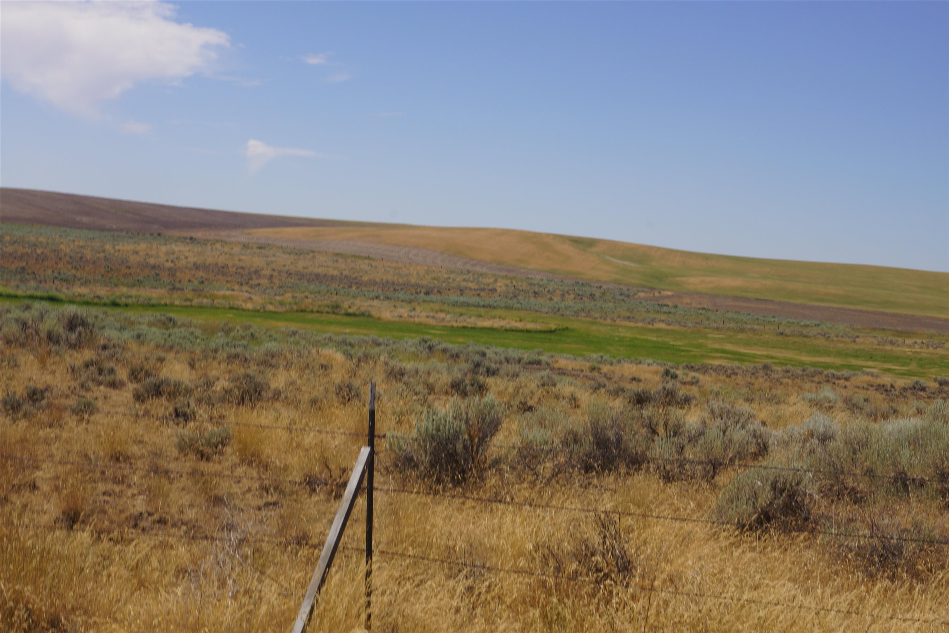 Nka Coal Springs Road, Unit 18XXX COAL SPRINGS RD Harrington, WA 99134 - Photo 8 of 23