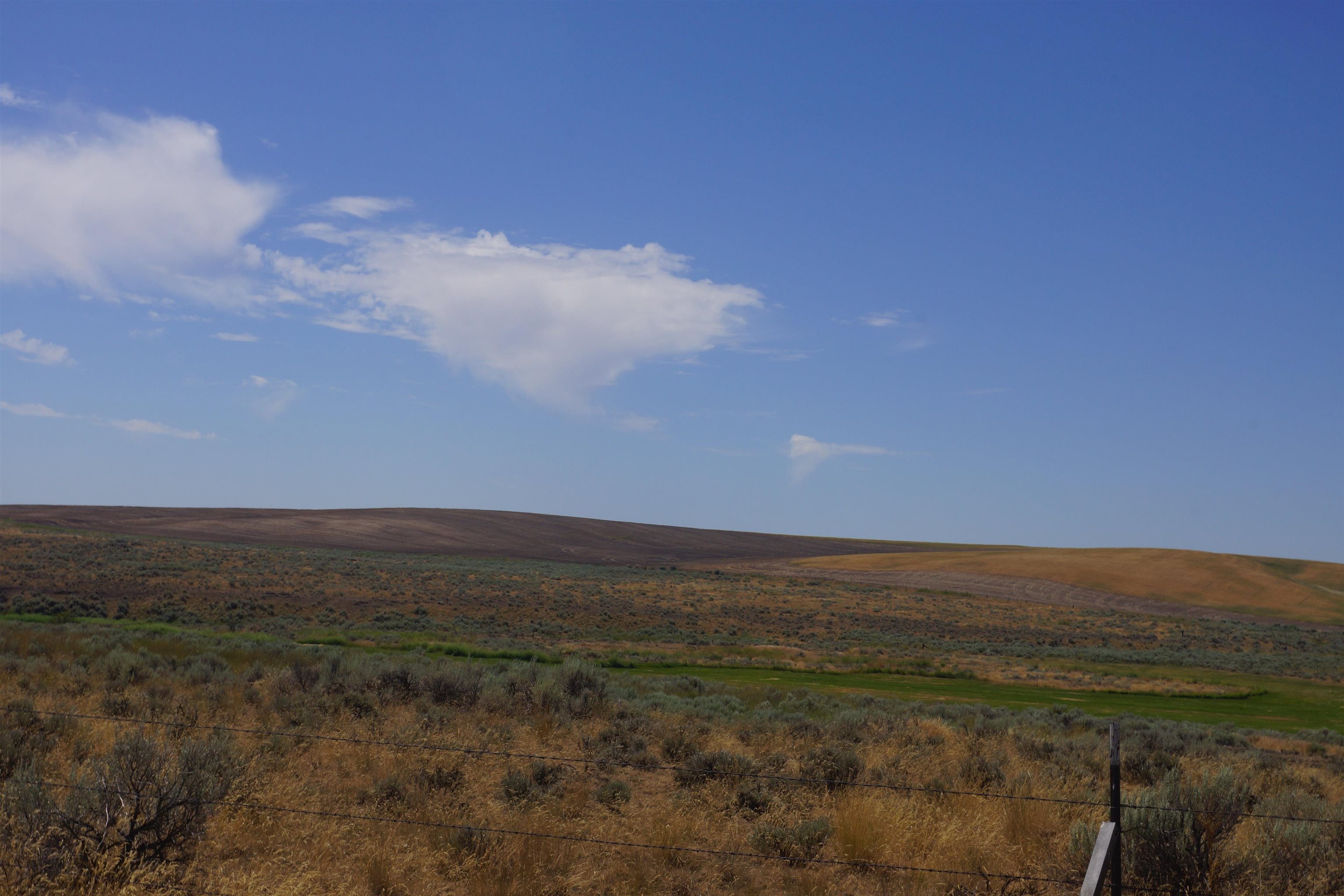 Nka Coal Springs Road, Unit 18XXX COAL SPRINGS RD Harrington, WA 99134 - Photo 9 of 23