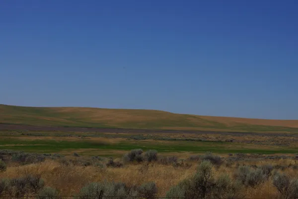 $49,000 | Nka Coal Springs Road, Unit 18XXX COAL SPRINGS RD, Harrington, WA 99134