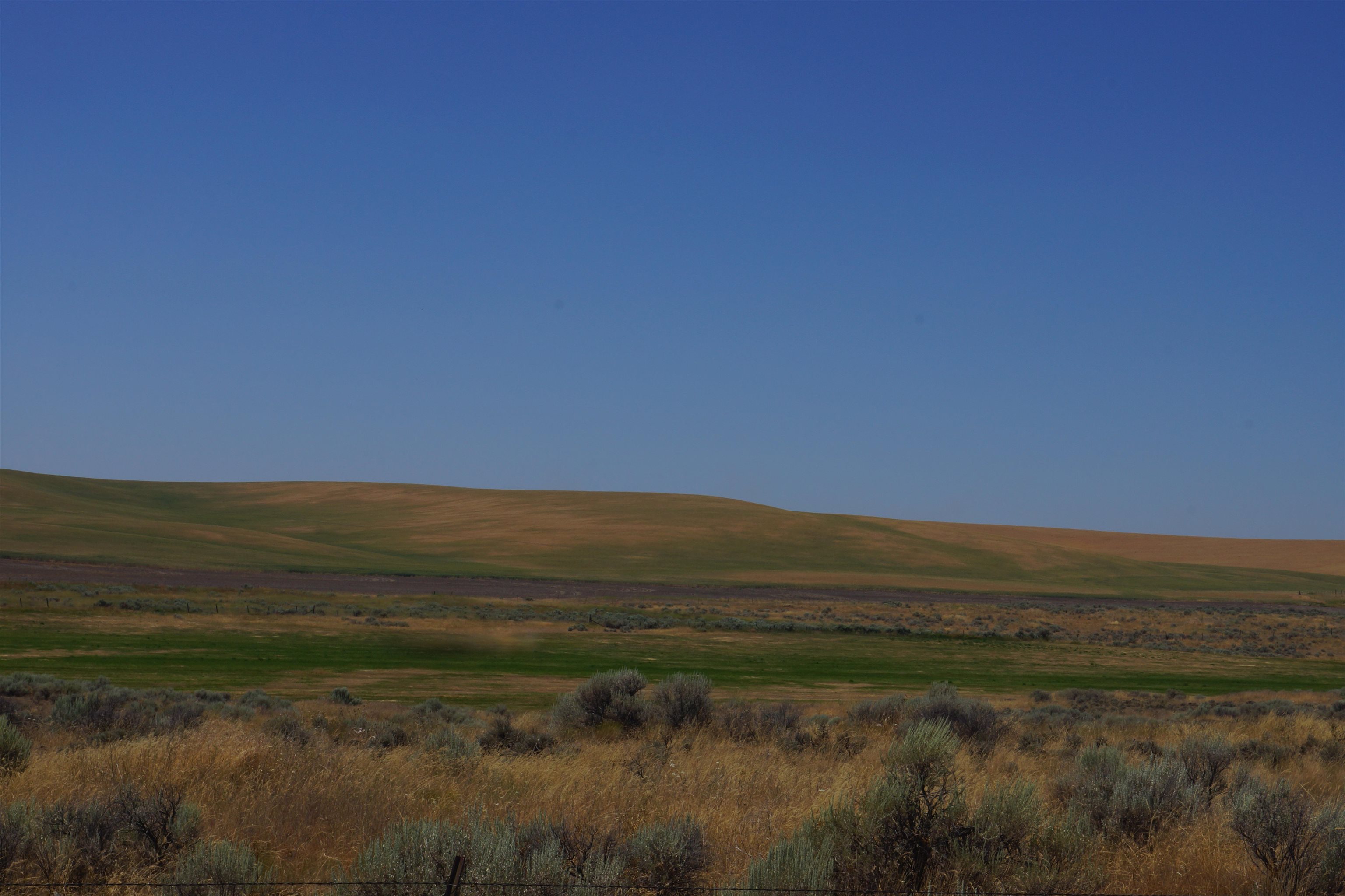 Nka Coal Springs Road, Unit 18XXX COAL SPRINGS RD Harrington, WA 99134 - Photo 10 of 23