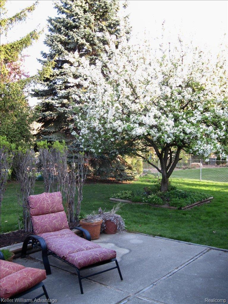 1457 Ranier Street Canton, MI 48187 - Photo 20 of 22 Flowering Tree