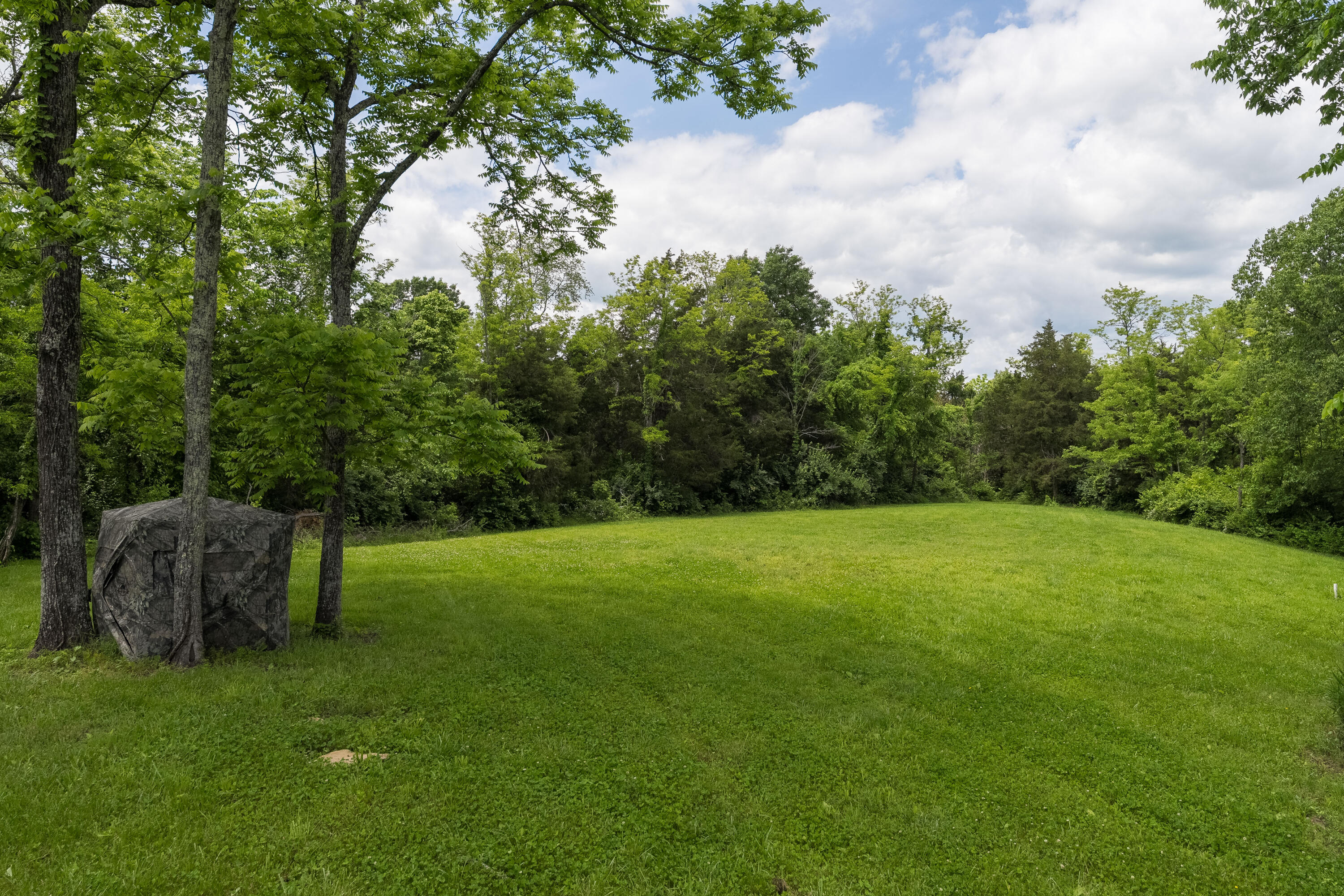 505 Fords Mill Road Dry Ridge, KY 41035 - Photo 36 of 37