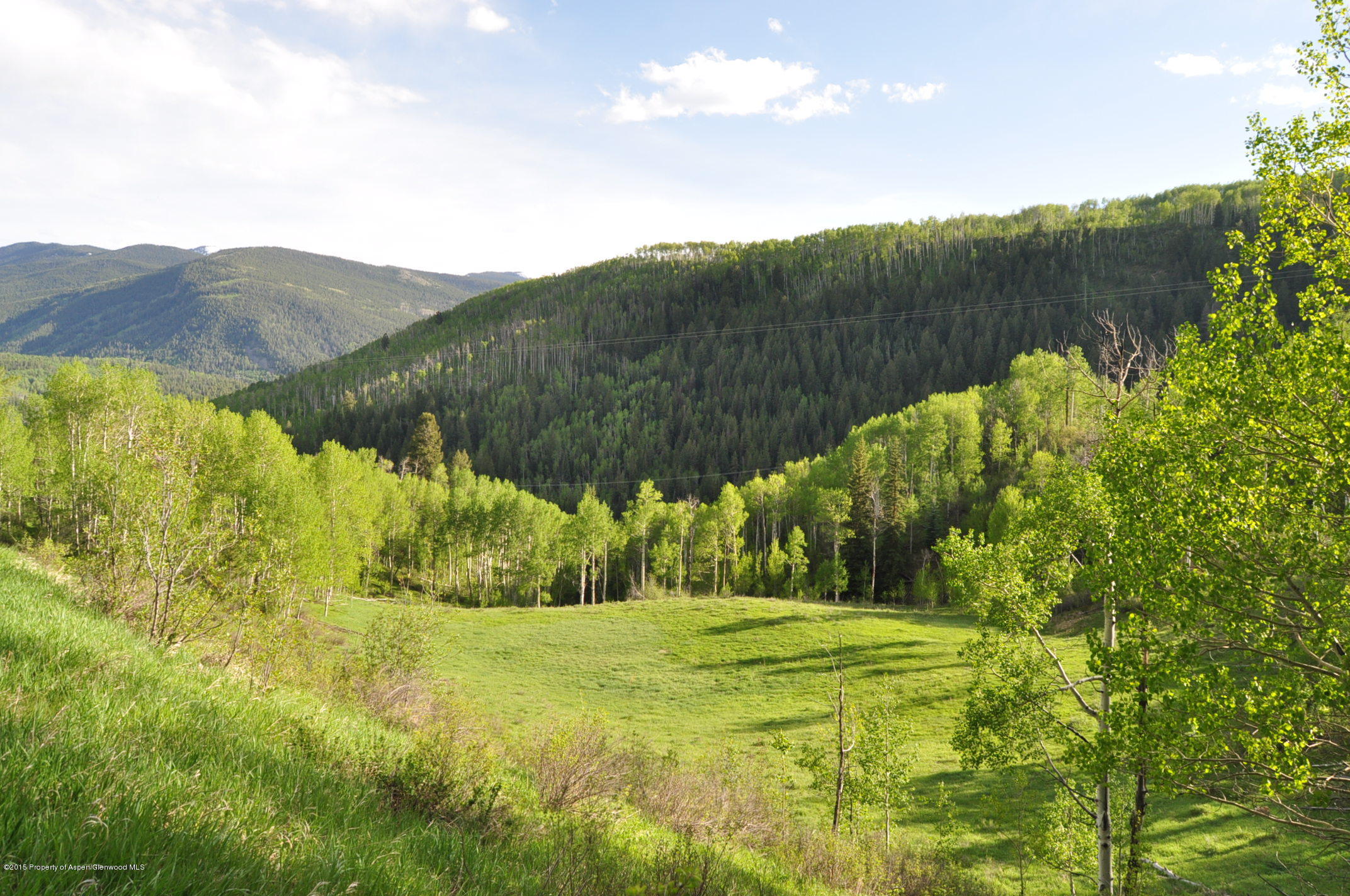 28525 Brush Creek Road Basalt, CO 81621 - Photo 52 of 61 DSC_0294