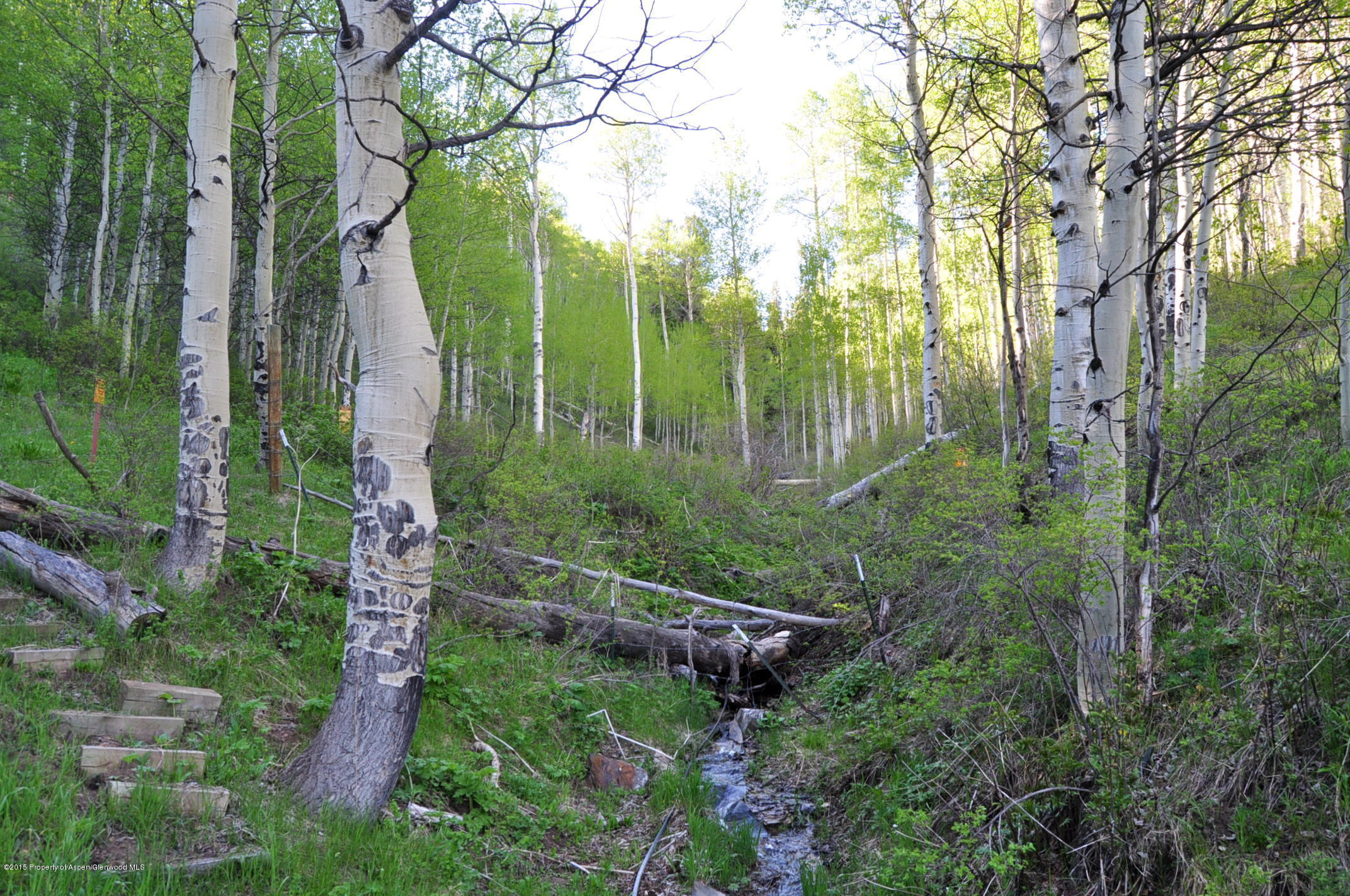 28525 Brush Creek Road Basalt, CO 81621 - Photo 54 of 61 DSC_0188