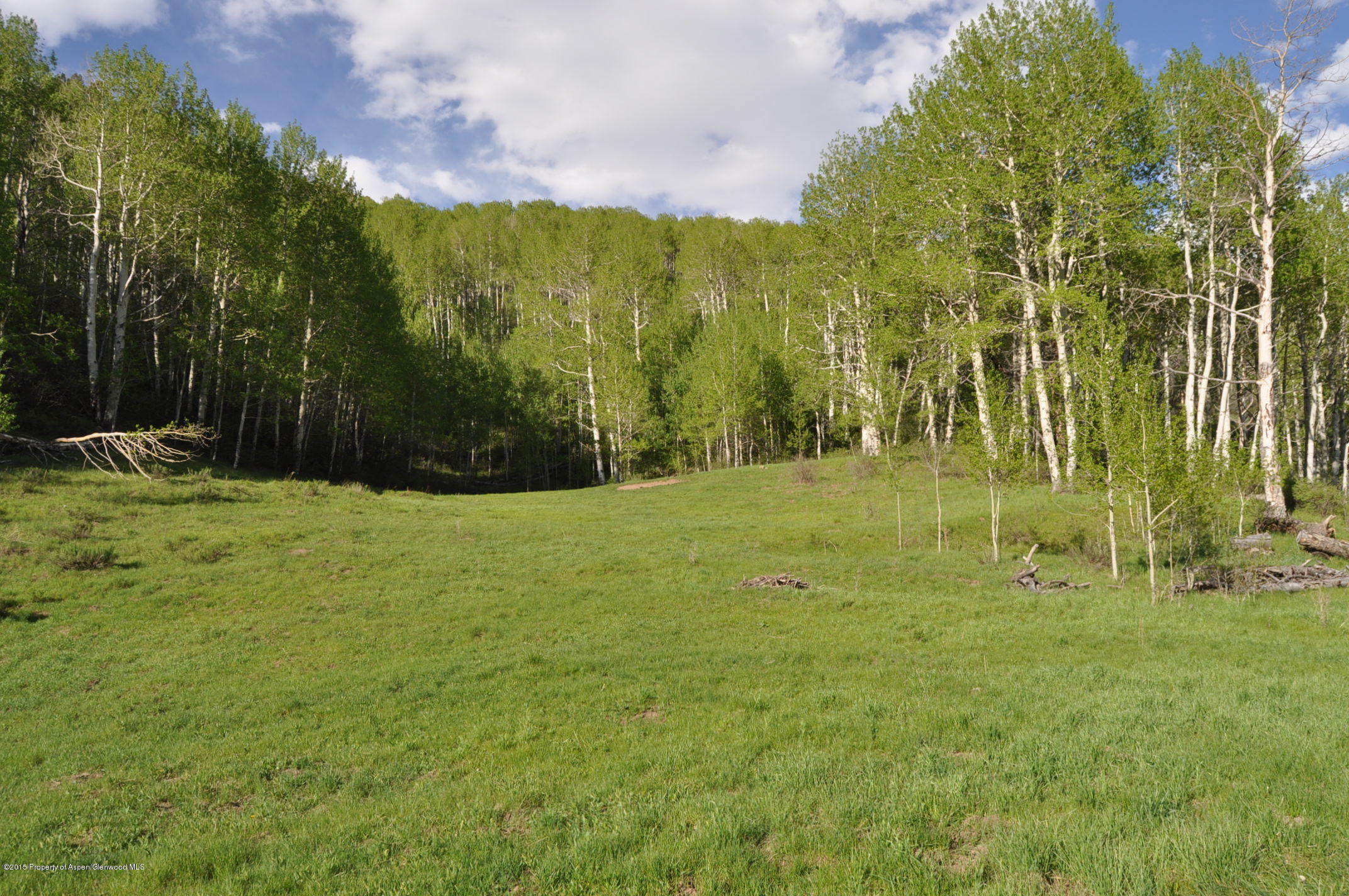 28525 Brush Creek Road Basalt, CO 81621 - Photo 58 of 61 DSC_0275