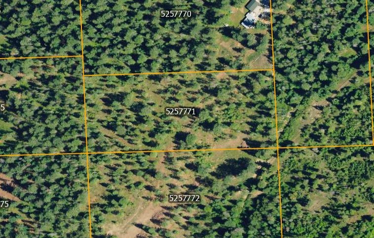 3756 North Deer Lake Road Loon Lake, WA 99148 - Photo 1 of 1 Gallery Image 1