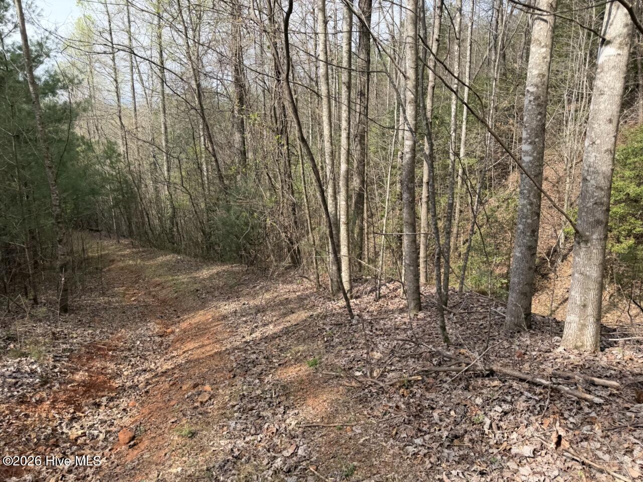 0 Ogreeta Road Murphy, NC 28906 - Photo 28 of 47