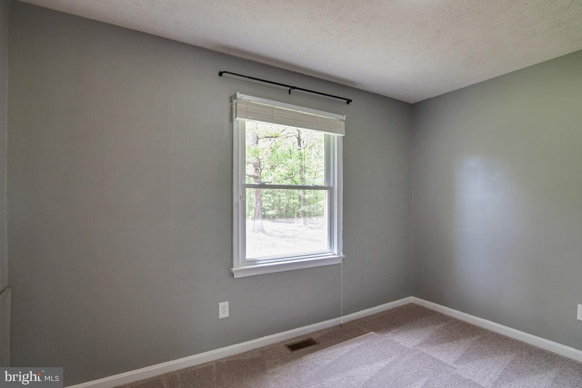 7446 Autumn Road Rapidan, VA 22733 - Photo 21 of 35 Gallery Image 21