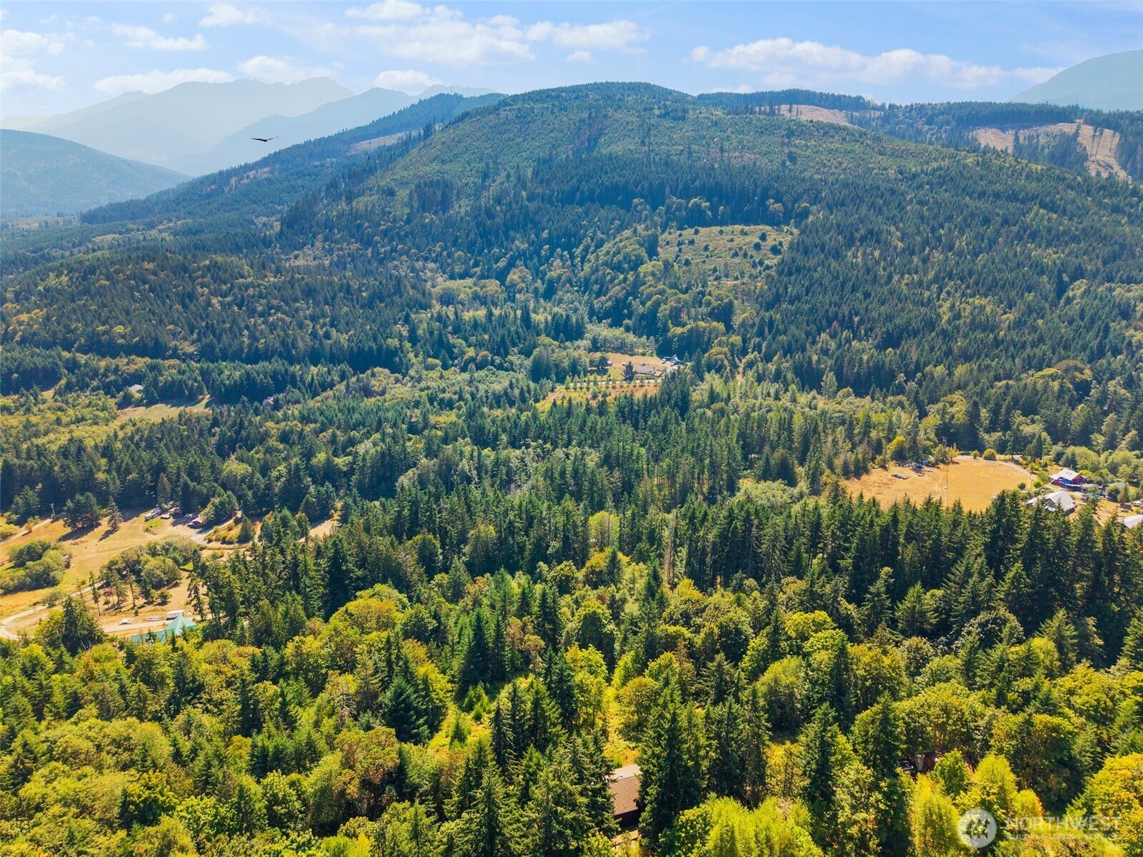 428 Eagle Ridge Road Port Angeles, WA 98363 - Photo 34 of 40 a view of a houses with a lush green hillside
