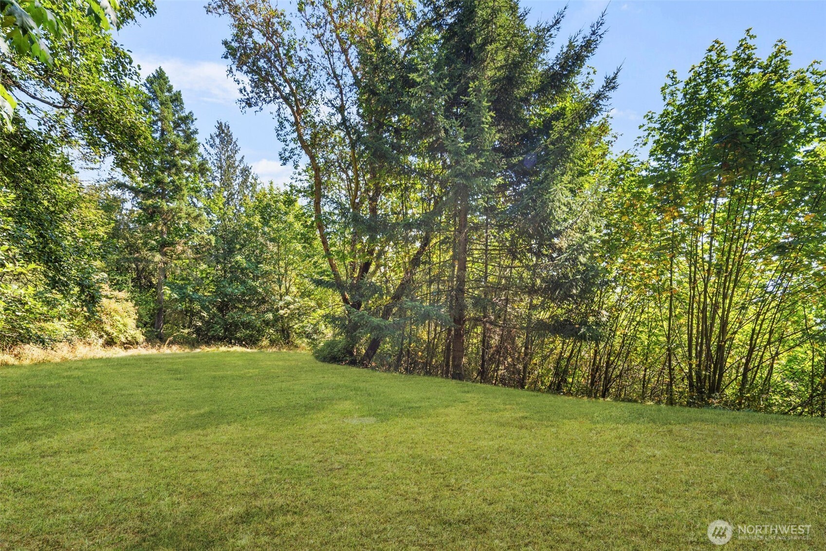 428 Eagle Ridge Road Port Angeles, WA 98363 - Photo 38 of 40 a view of grassy field with trees
