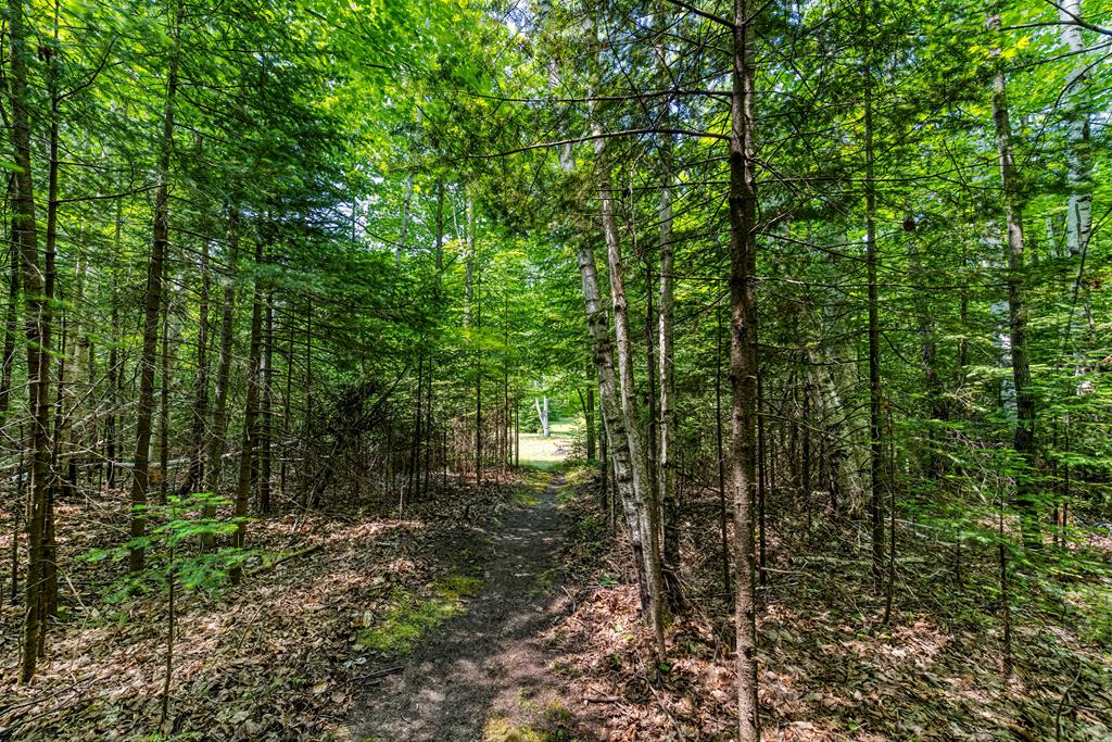 744 Isle View Road Ellison Bay, WI 54210 - Photo 36 of 41 Gallery Image 36