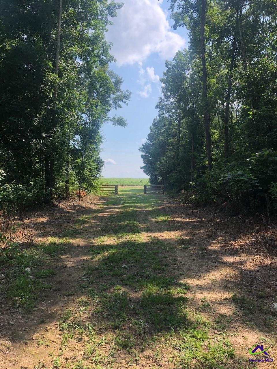 0 County Line Road Elko, GA 31025 - Photo 2 of 12