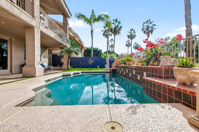 a row of palm trees sitting in a park with large trees