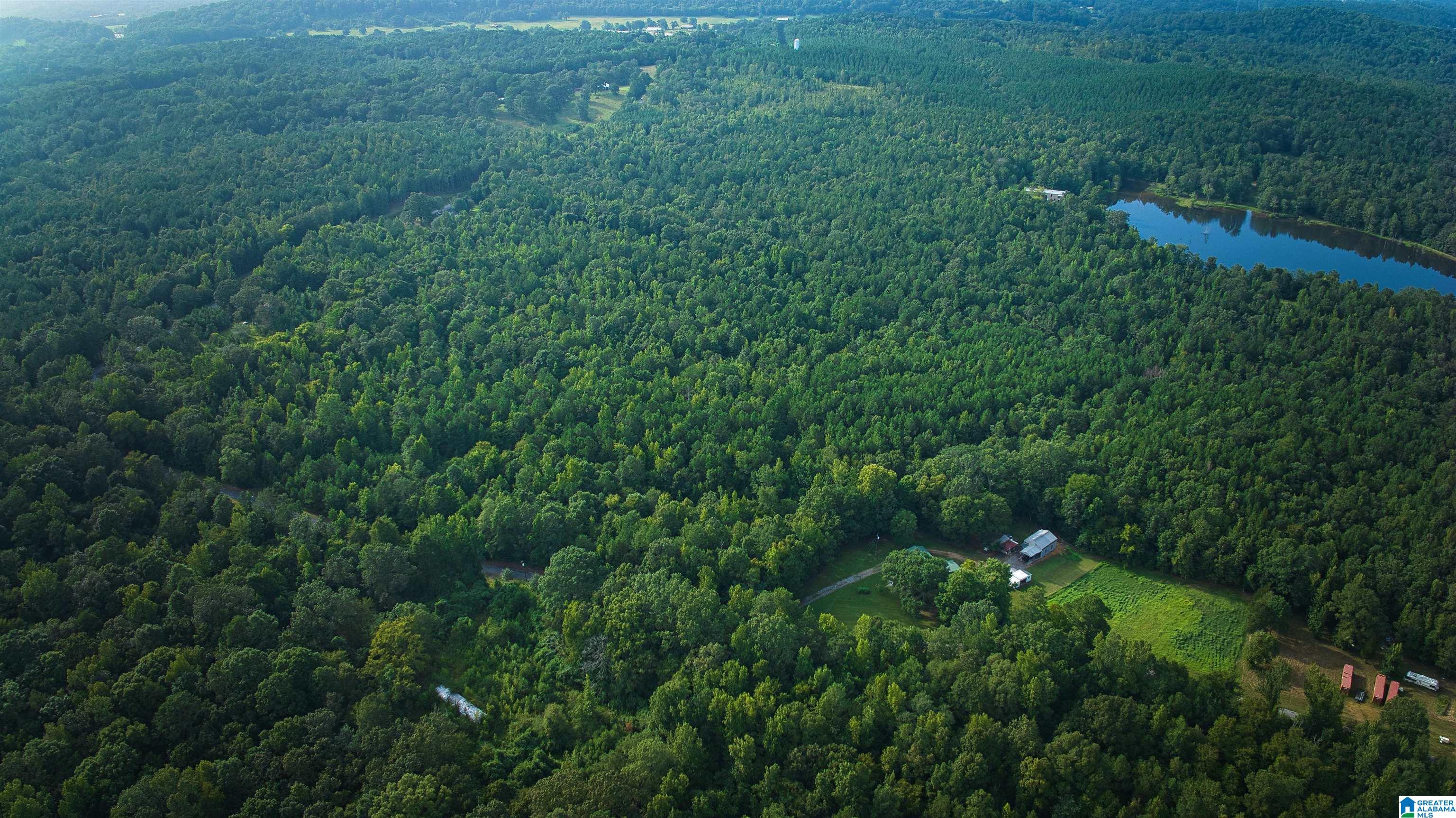 Lot 20 Wester Road, Unit LOT 20 Ragland, AL 35131 - Photo 58 of 68