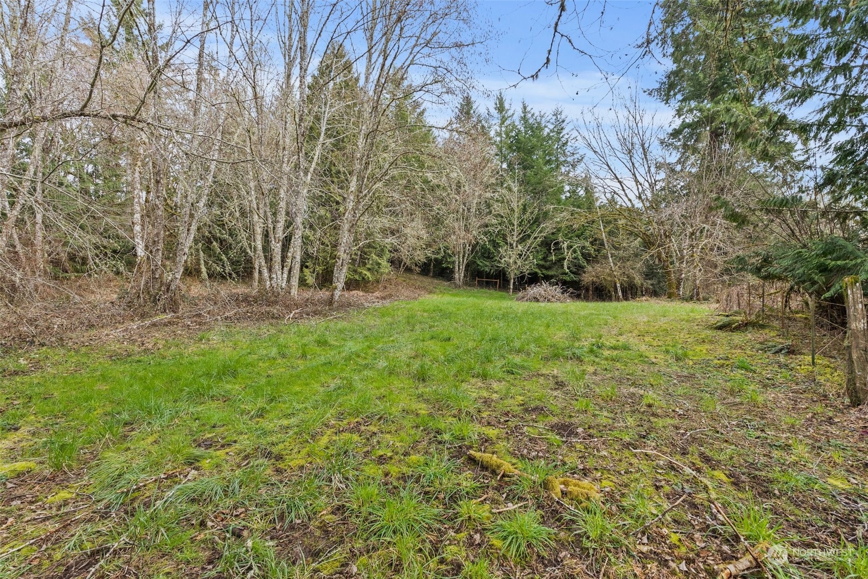 658 Spencer Road Toledo, WA 98591 - Photo 29 of 33 a view of green field with trees in the background