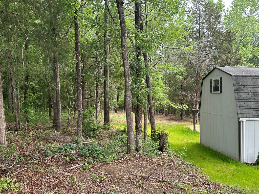 593 Mary McClendon Road Ozark, AL 36360 - Photo 48 of 65