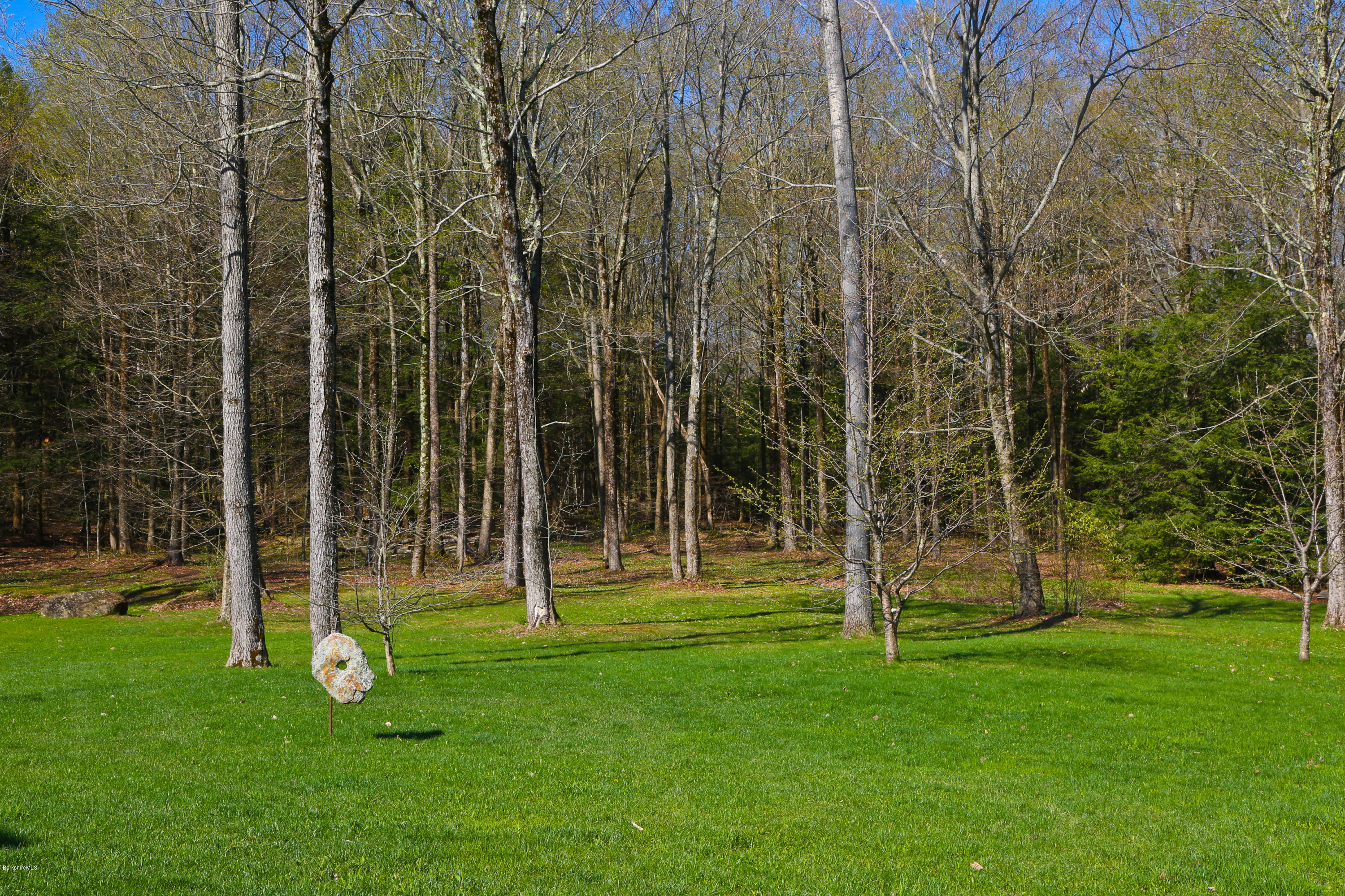 53 Maple Hill Road West Stockbridge, MA 01266 - Photo 7 of 22 a view of a park with large trees