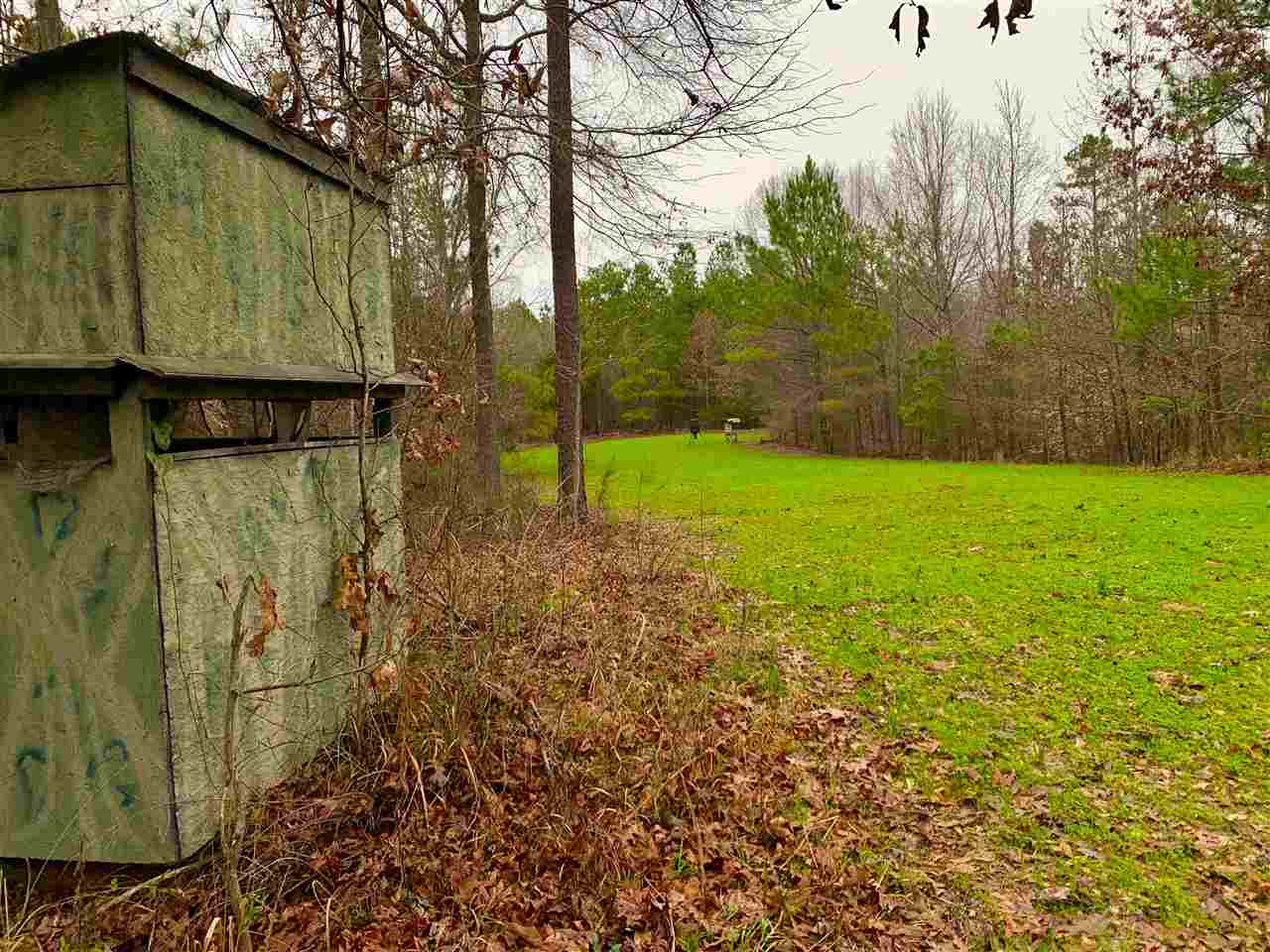 6184 Race Track Road West, MS 39192 - Photo 29 of 48 Photo 29
