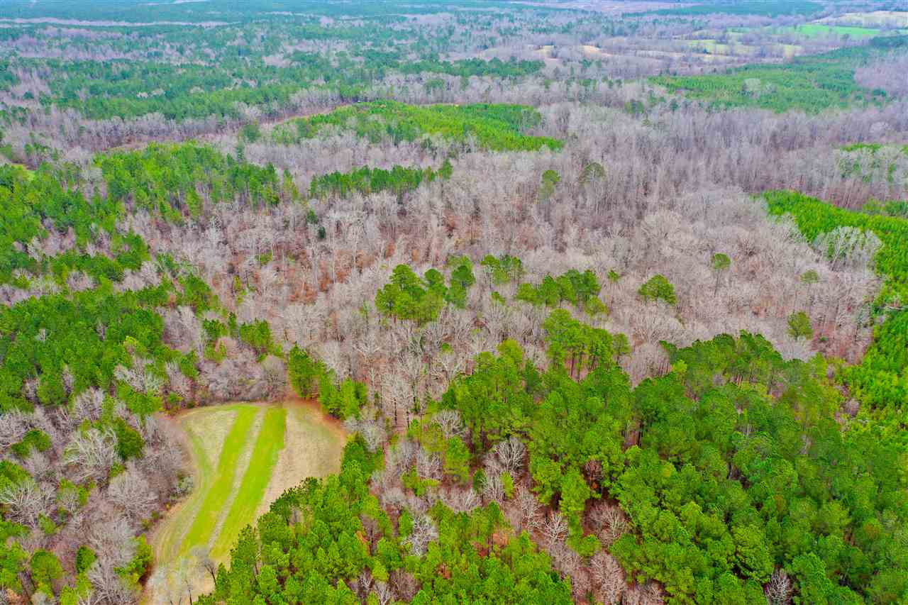 6184 Race Track Road West, MS 39192 - Photo 3 of 48 Photo 3