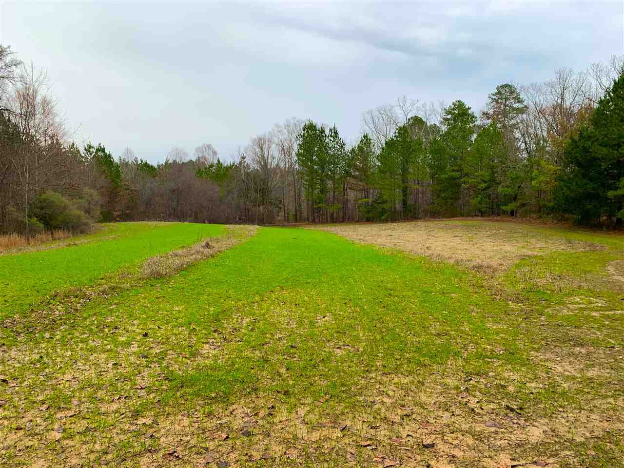 6184 Race Track Road West, MS 39192 - Photo 6 of 48 Photo 6