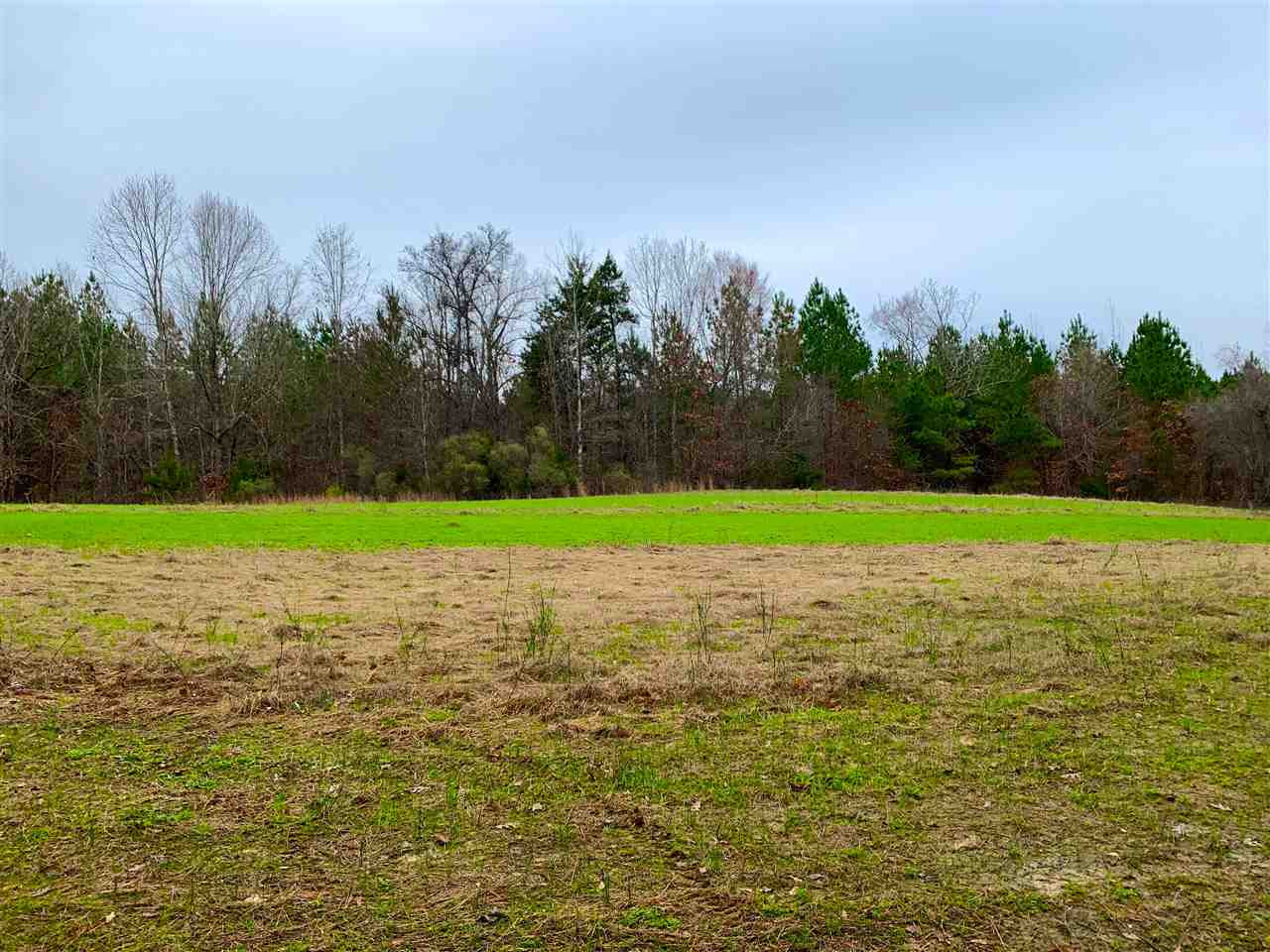 6184 Race Track Road West, MS 39192 - Photo 7 of 48 Photo 7
