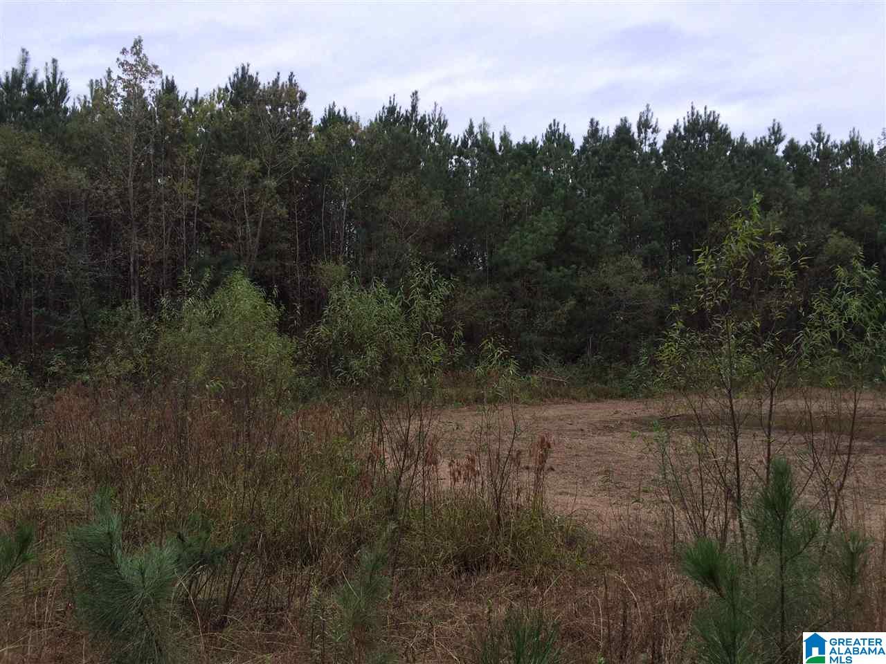 Page Spring Road, Unit 4 Arab, AL 35016 - Photo 6 of 29