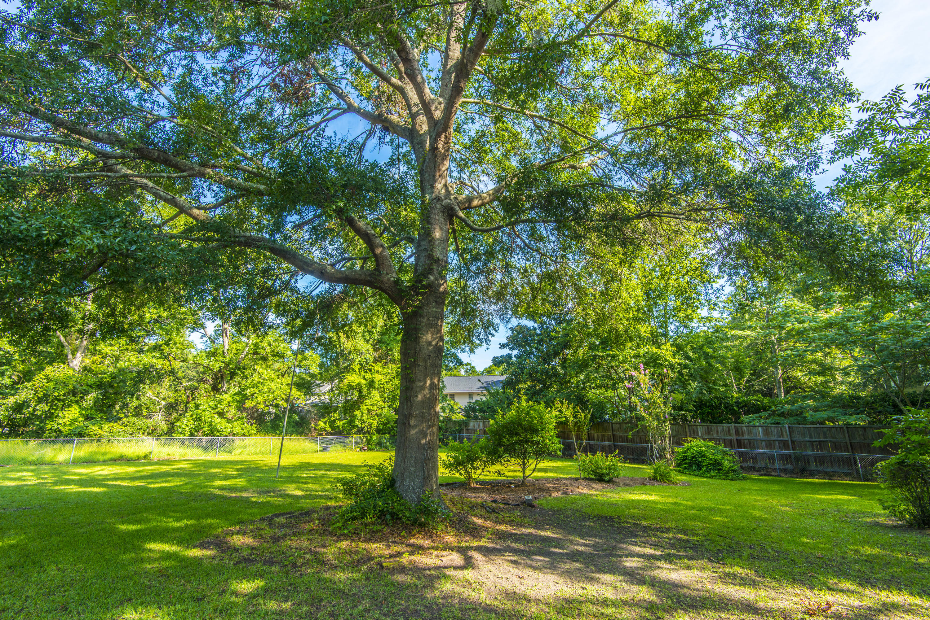 336 4th Avenue Mount Pleasant, SC 29464 - Photo 36 of 38 _DSC0357