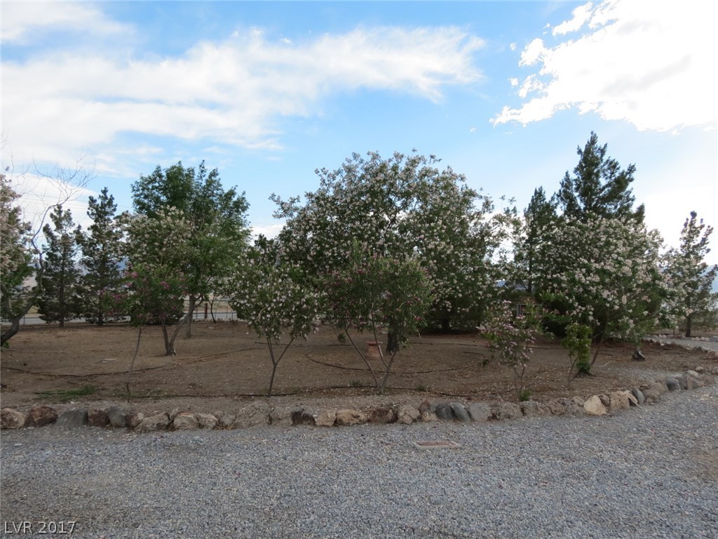 2880 West Gamebird Road Pahrump, NV 89048 - Photo 23 of 35 Gallery Image 23