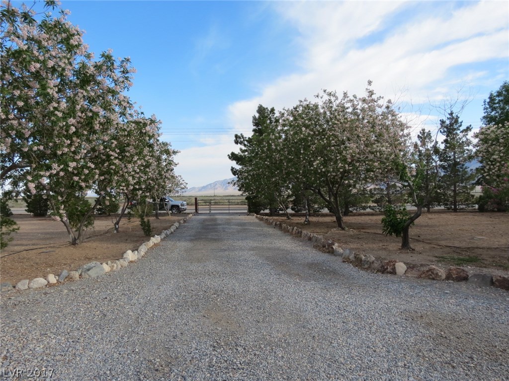 2880 West Gamebird Road Pahrump, NV 89048 - Photo 24 of 35 Gallery Image 24