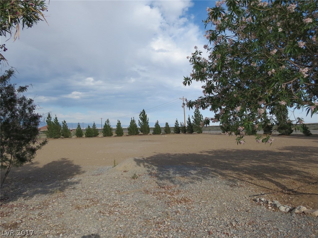 2880 West Gamebird Road Pahrump, NV 89048 - Photo 25 of 35 Gallery Image 25