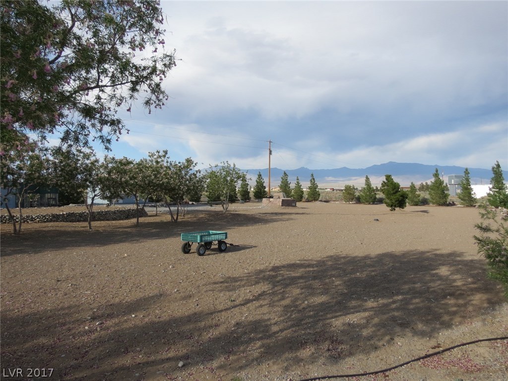 2880 West Gamebird Road Pahrump, NV 89048 - Photo 30 of 35 Gallery Image 30