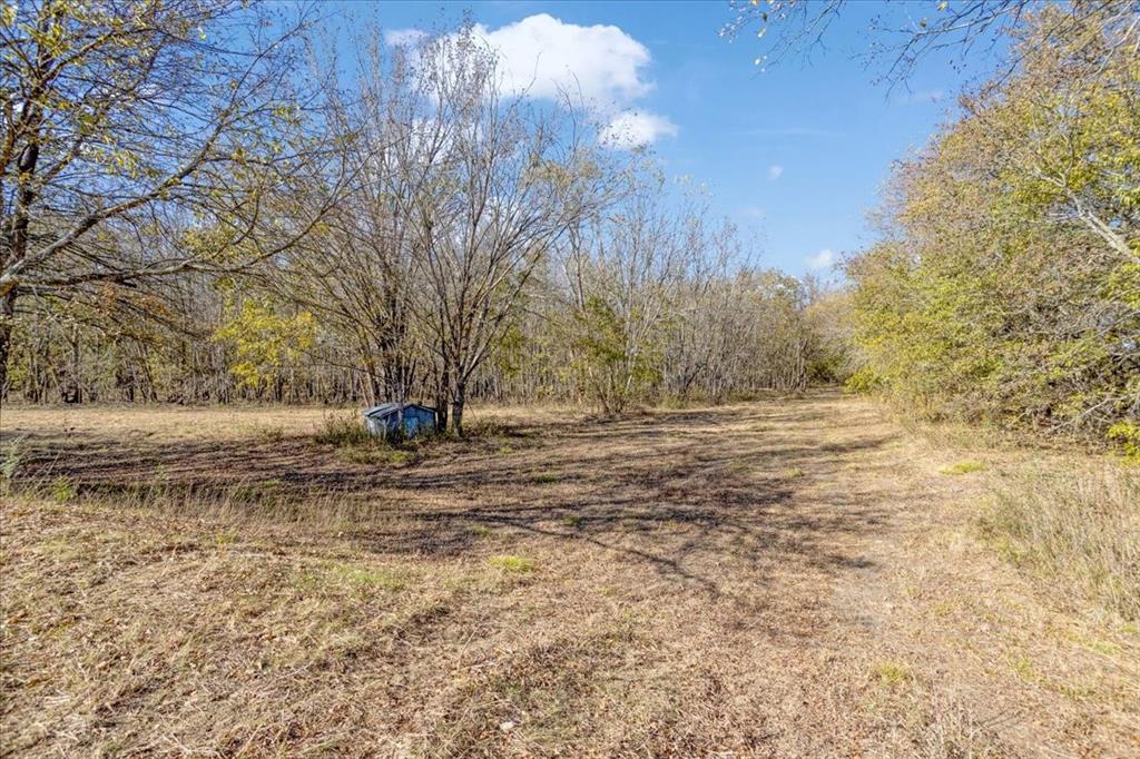 14951 County Road 622 Blue Ridge, TX 75424 - Photo 7 of 40