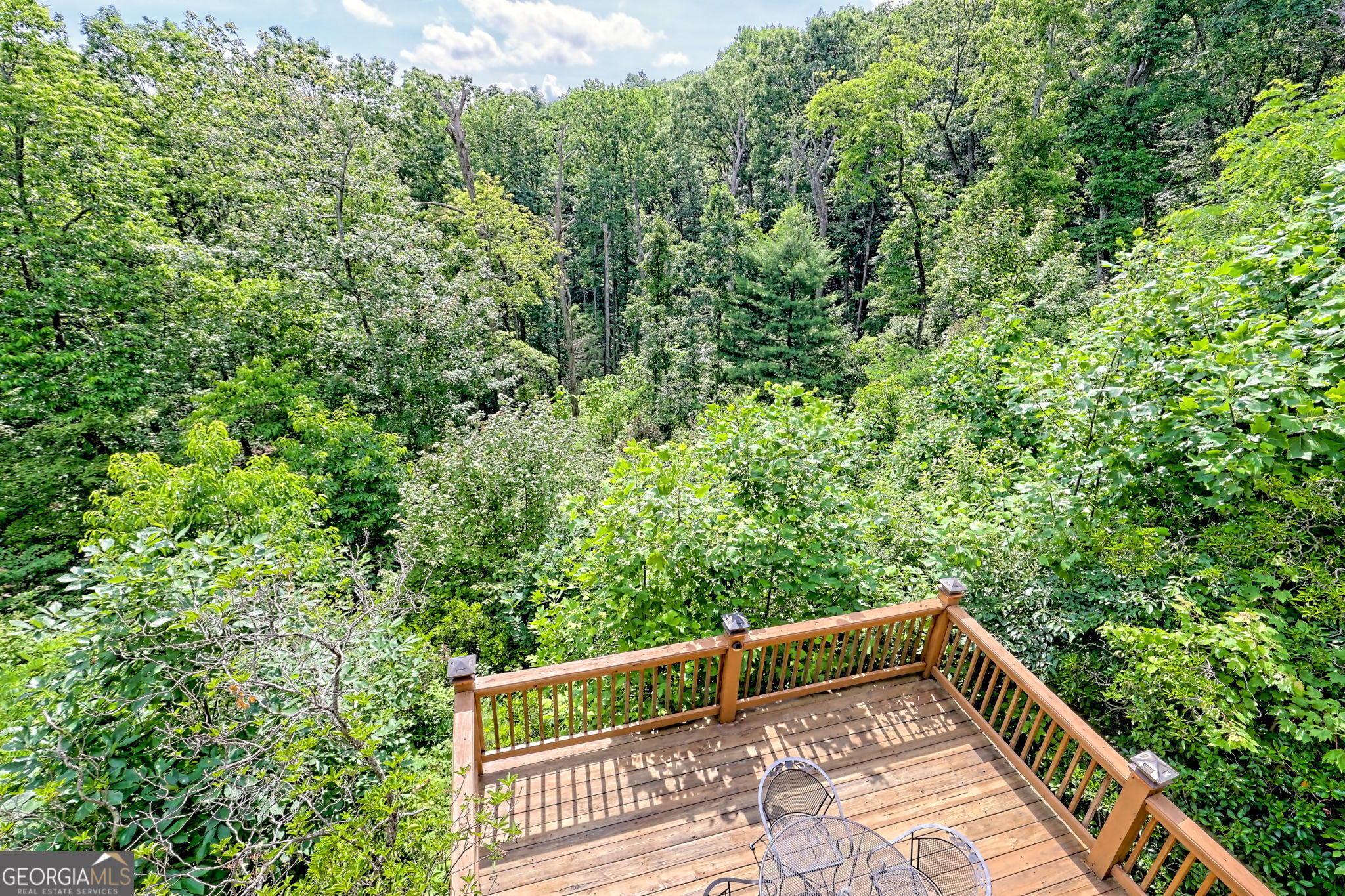 331 Black Bear Den Road Clayton, GA 30525 - Photo 23 of 42