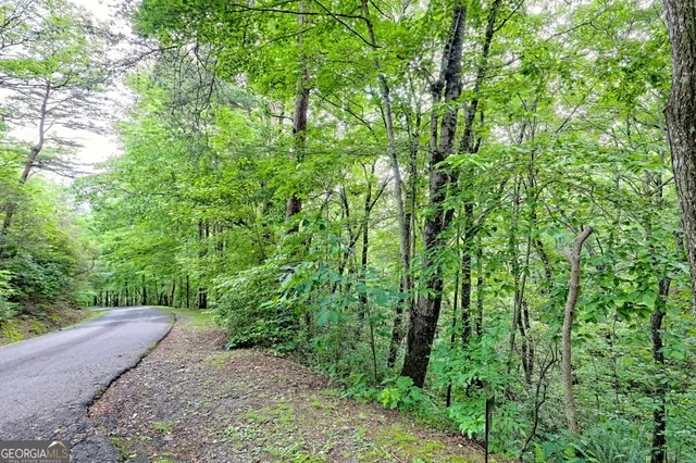 $549,000 | 331 Black Bear Den Road, Clayton, GA 30525