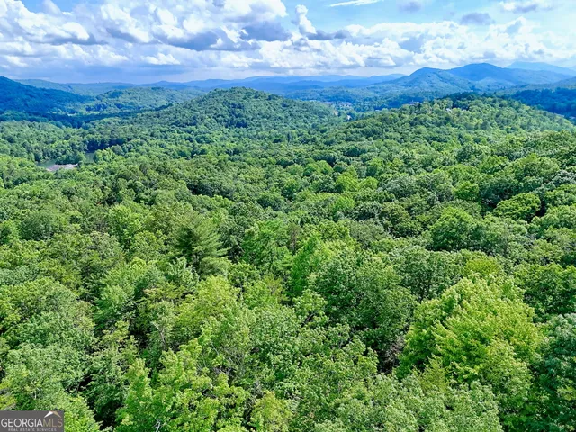 $549,000 | 331 Black Bear Den Road, Clayton, GA 30525