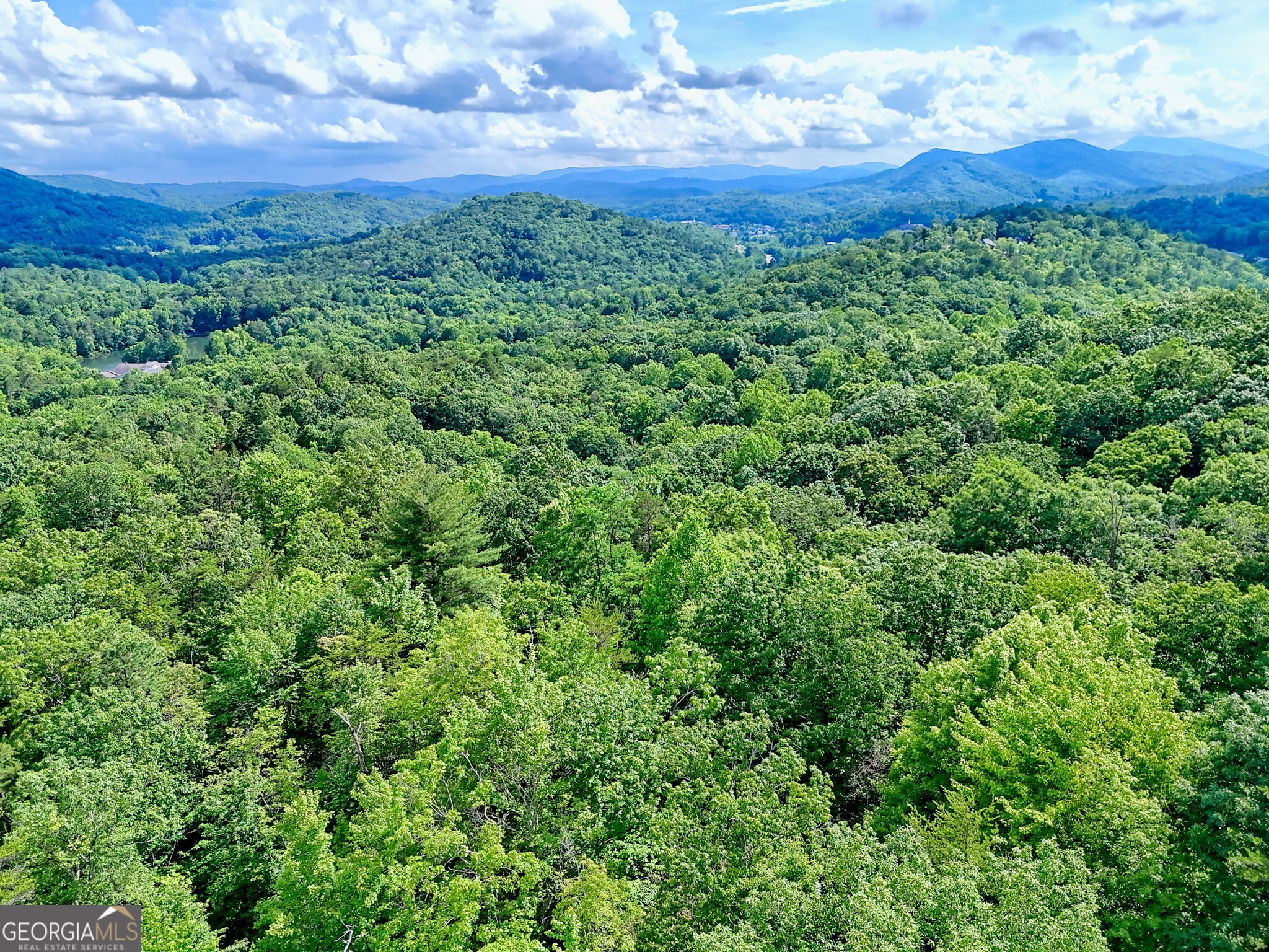 331 Black Bear Den Road Clayton, GA 30525 - Photo 38 of 42