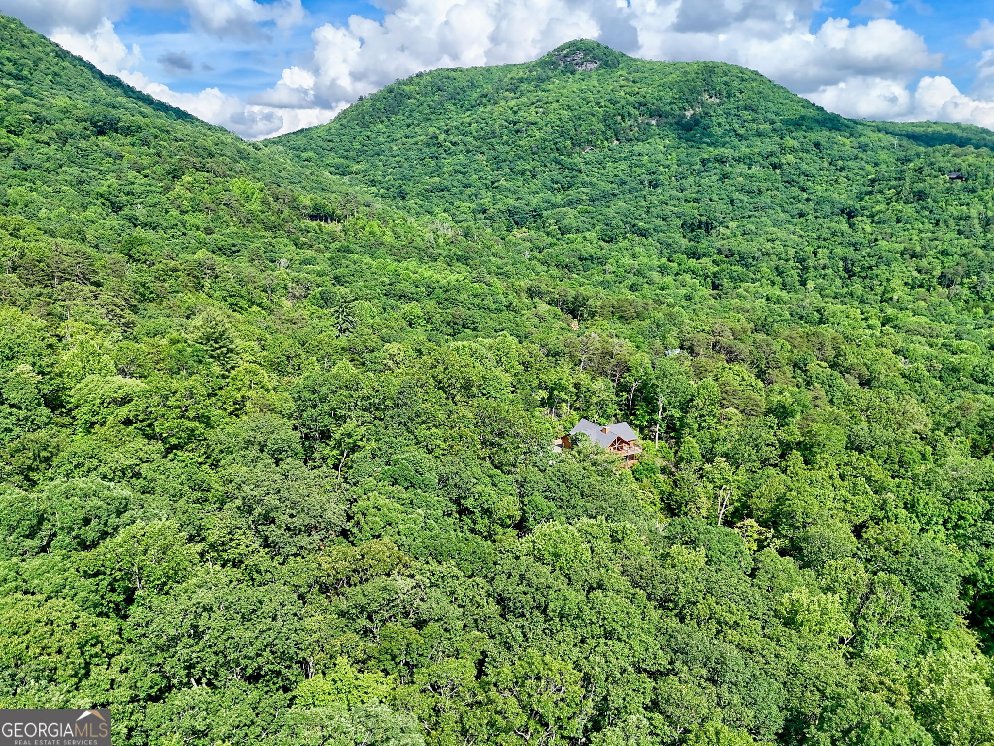 331 Black Bear Den Road Clayton, GA 30525 - Photo 39 of 42